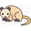 Opossum  Symbol