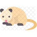 Opossum  Symbol