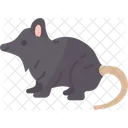 Opossum  Icon