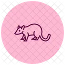 Opossum Icon