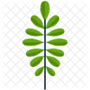 Opposite Greenery Leaf Icon
