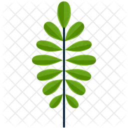 Opposite leaf  Icon