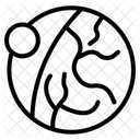 Optic Nerve Icon