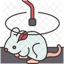 Optoacoustic Imaging Mouse Icon