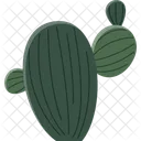 Opuntia Cactus Succulent Icon