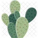 Opuntia Cactus Succulent Icon