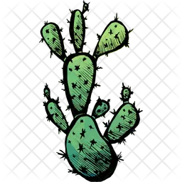 Opuntia Prickly Pear  Icon