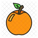 Orange Fruit Organic Icon