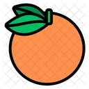 Orange Food Fruit Icon