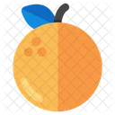 Orange  Icon