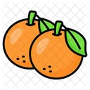 Orange Oranges Citrus Icon