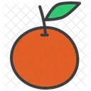 Orange Thanksgiving Fruit Icon