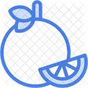 Orange Fruit Vegetable Icon