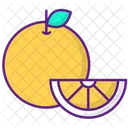 Orange Food Healthy Icon