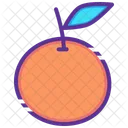 Orange Thanksgiving Fruit Icon