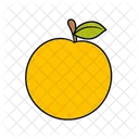 Orange Fruit Round Icon
