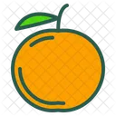 Orange Fruit Food Icon