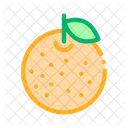 Orange Citrus Italian Icon