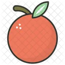 Orange Fruit Food Icon