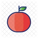 Orange Fruit Higenic Icon