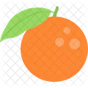 Orange Winter Fruit Icon
