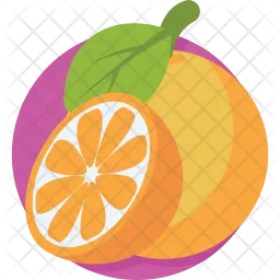 Orange  Icon