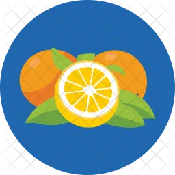 Orange  Icon