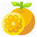 Orange Fruit Food Icon