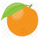 Orange Diet Organic Icon