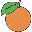 Orange Juicy Fruit Fruit Icon