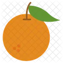 Orange  Icon