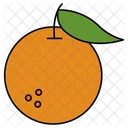 Orange Fruit Diet Icon