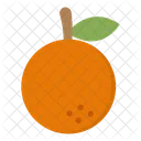 Orange Fruit Organic Icon