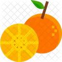 Orange Fruit Juicy Icon