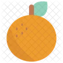 Orange Fruit Food Icon