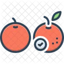 Orange Fruit Ripe Icon