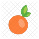 Orange  Icon