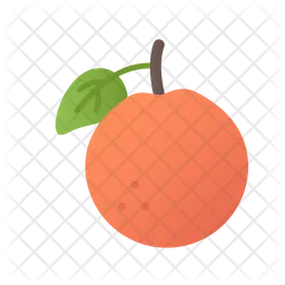 Orange  Icon