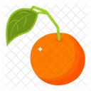 Orange  Icon