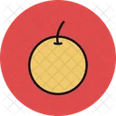 Citrus Food Fruit Icon