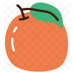 Orange  Icon