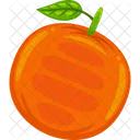 Orange Vector Organic Icon