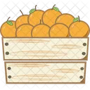 Orange Fruit Farm Icon