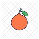 Orange  Icon