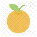 Orange Fruit Nutrient Icon