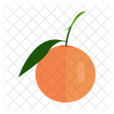 Fruit Orange Citrus Icon