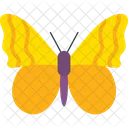 Orange Barred Sulphur Butterfly  Icon