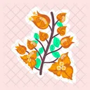 Orange Bougainvillea  Icon