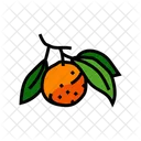 Orange Branch  Icon