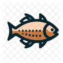 Fish Fishing Food Icon